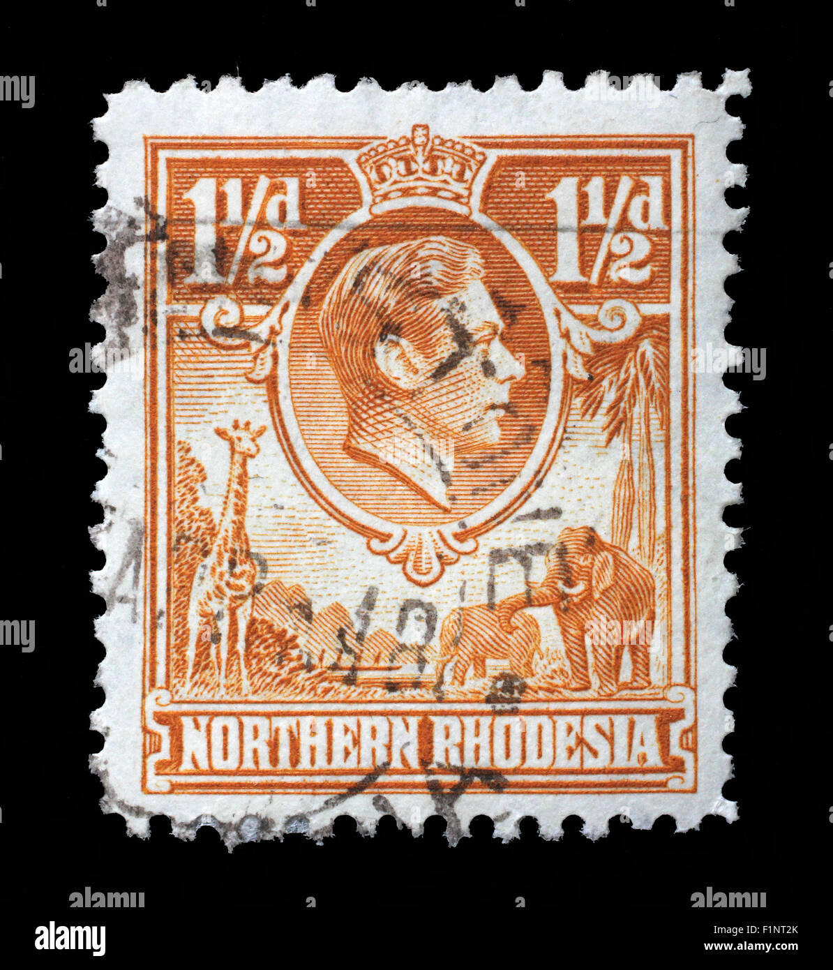 Stamp printed in UK for the Northern Rhodesia shows King Georg VI and Animals, circa 1938 Stock Photo