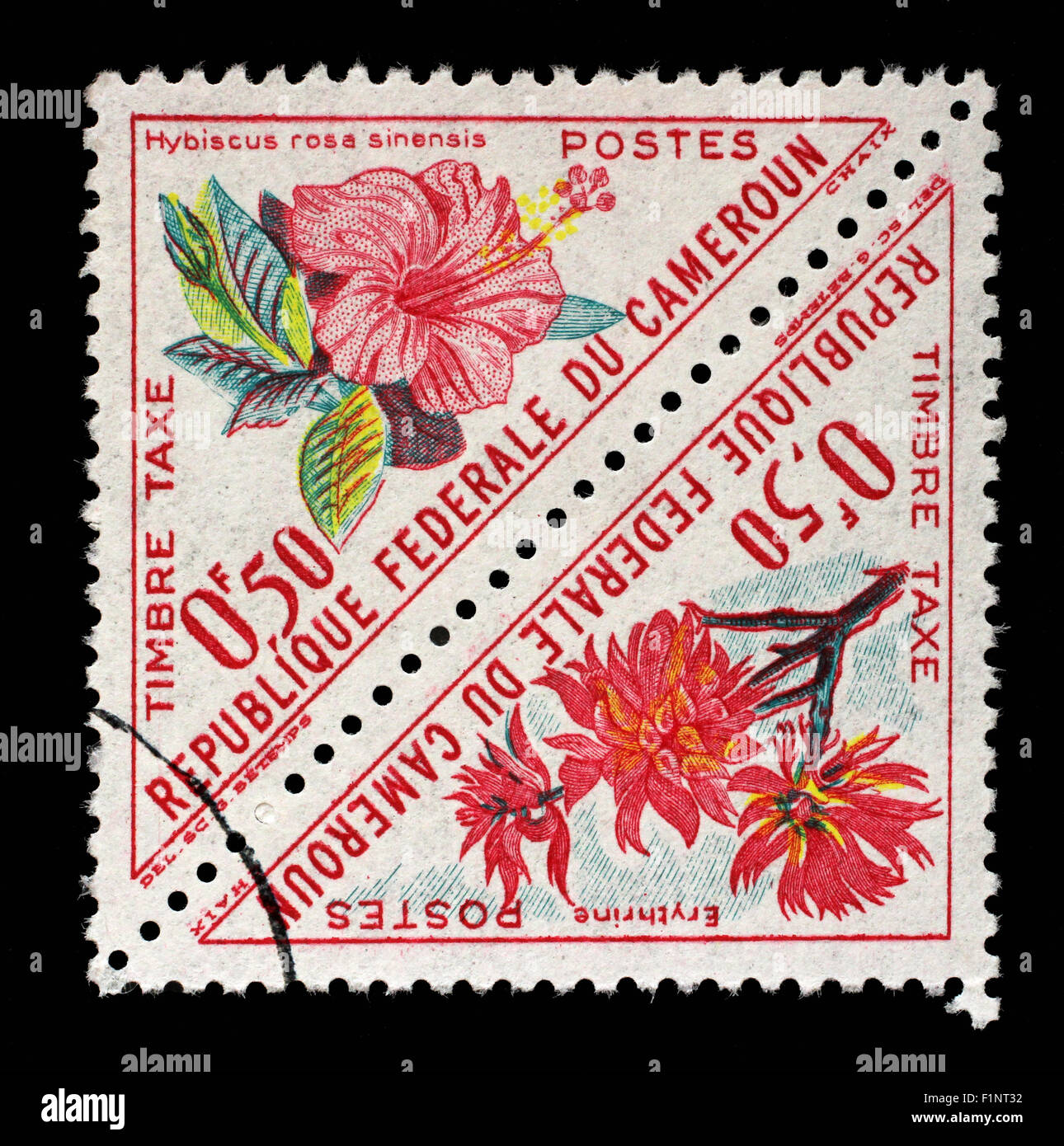 Stamp printed in Cameroon shows flowers with the inscription Hibiscus rosa sinensis and Erythrina, circa 1963 Stock Photo