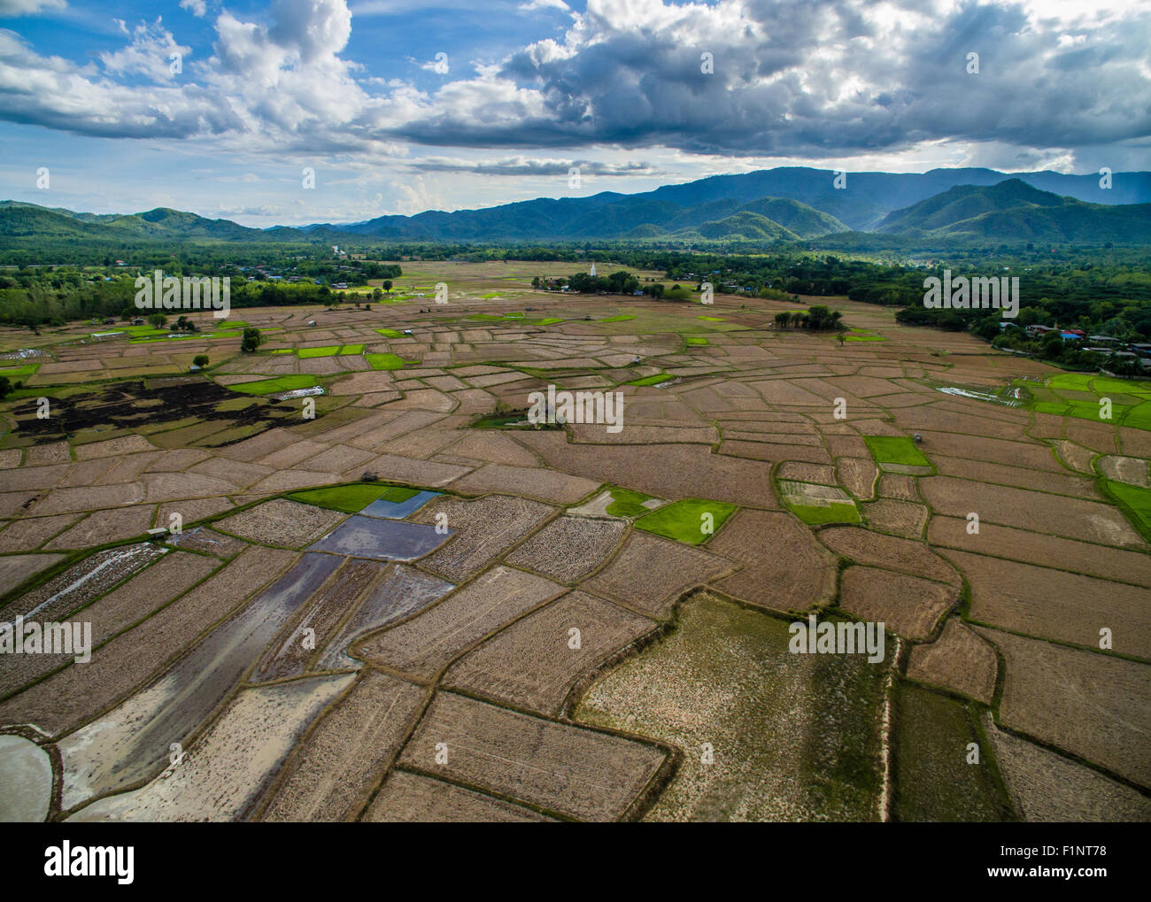 Dried rice field top view from drone northern Lampang, Thailand Stock Photo