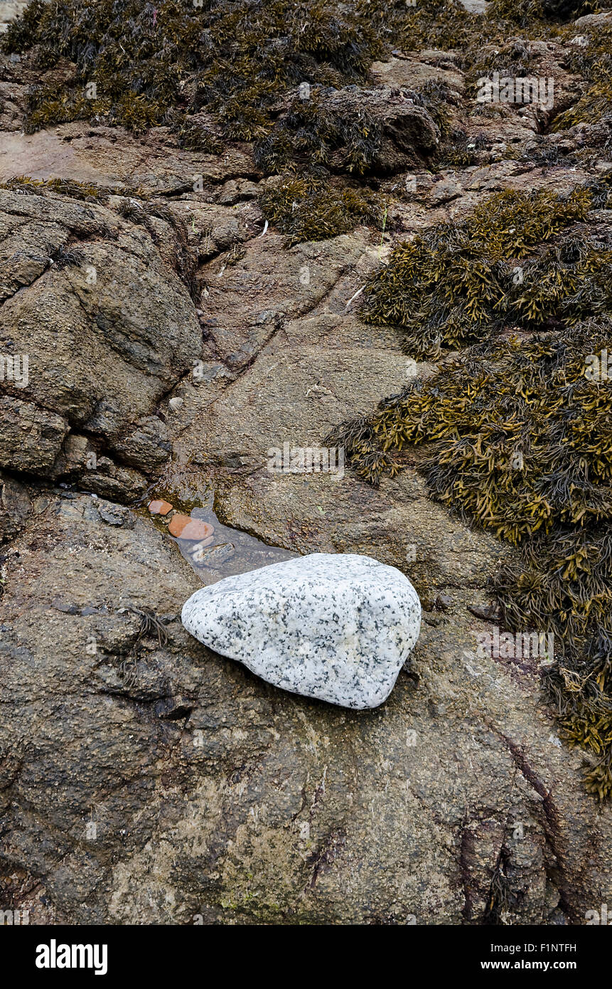 isolated white granite rock on dark shoreline granite Stock Photo