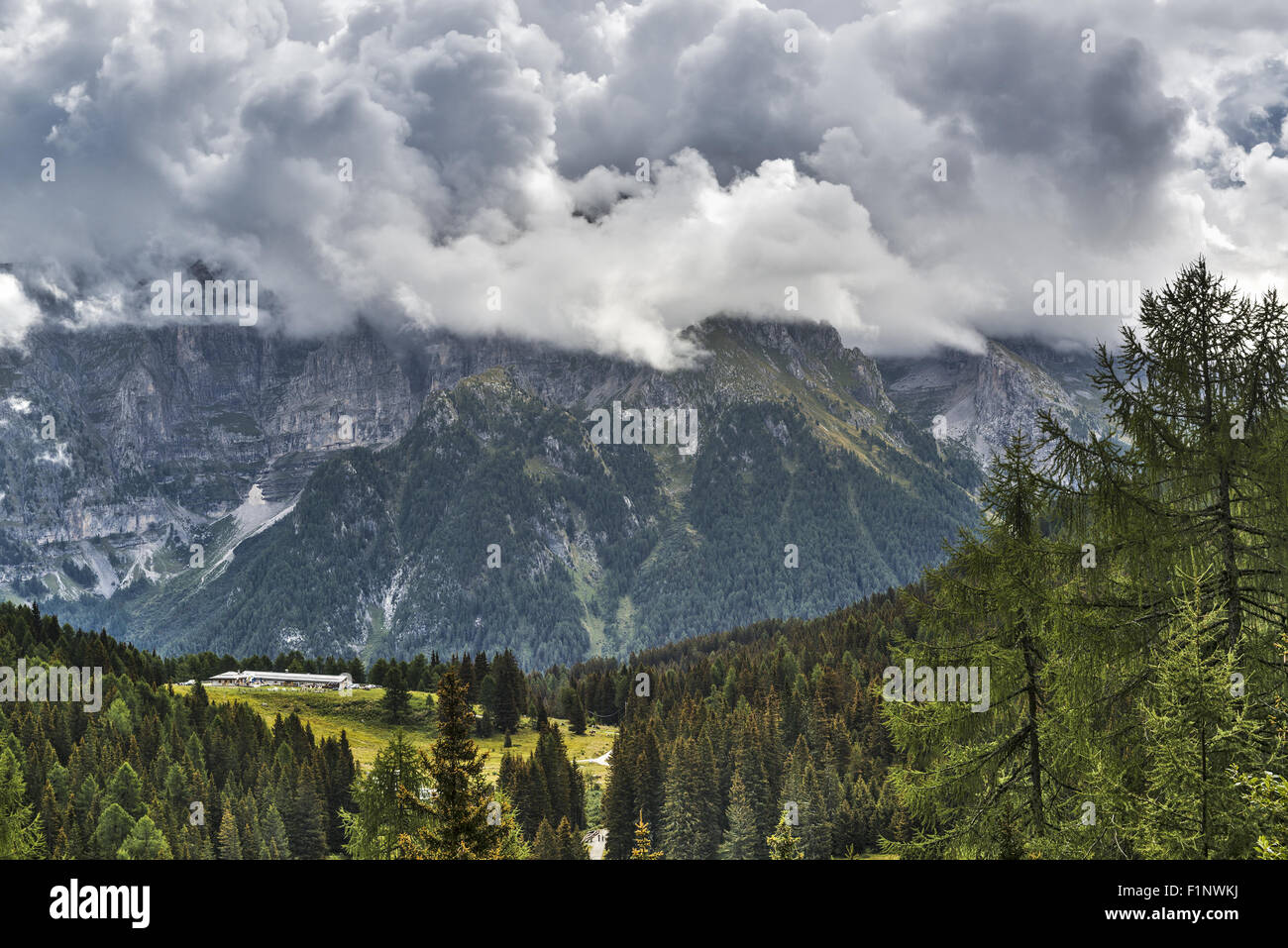 Landscape on the forest, mountains and clouds of Dolomiti di Brenta, Trentino - Italy Stock Photo