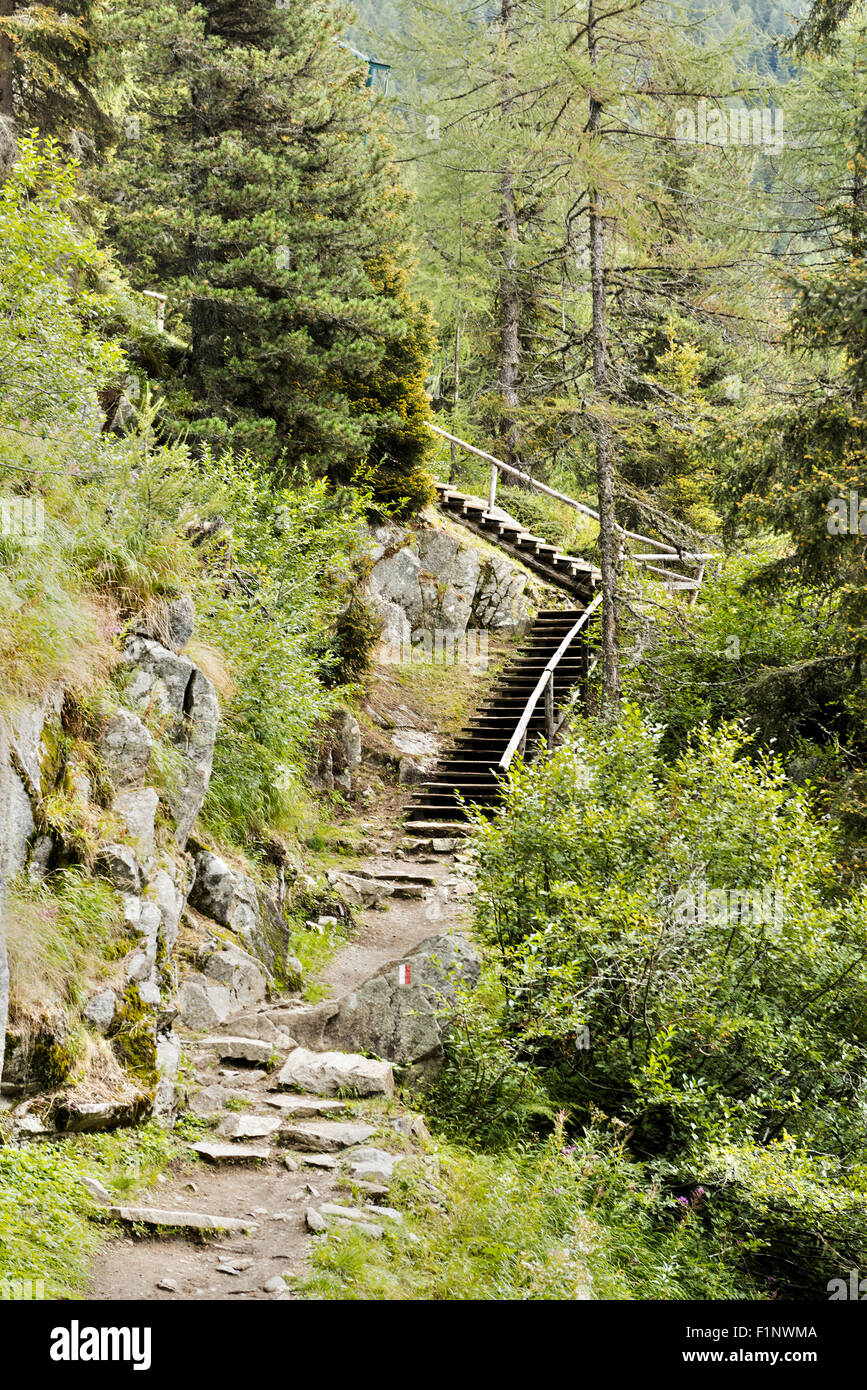 mountain path with stair in the forest, Dolomites - Trentino, Italy Stock Photo