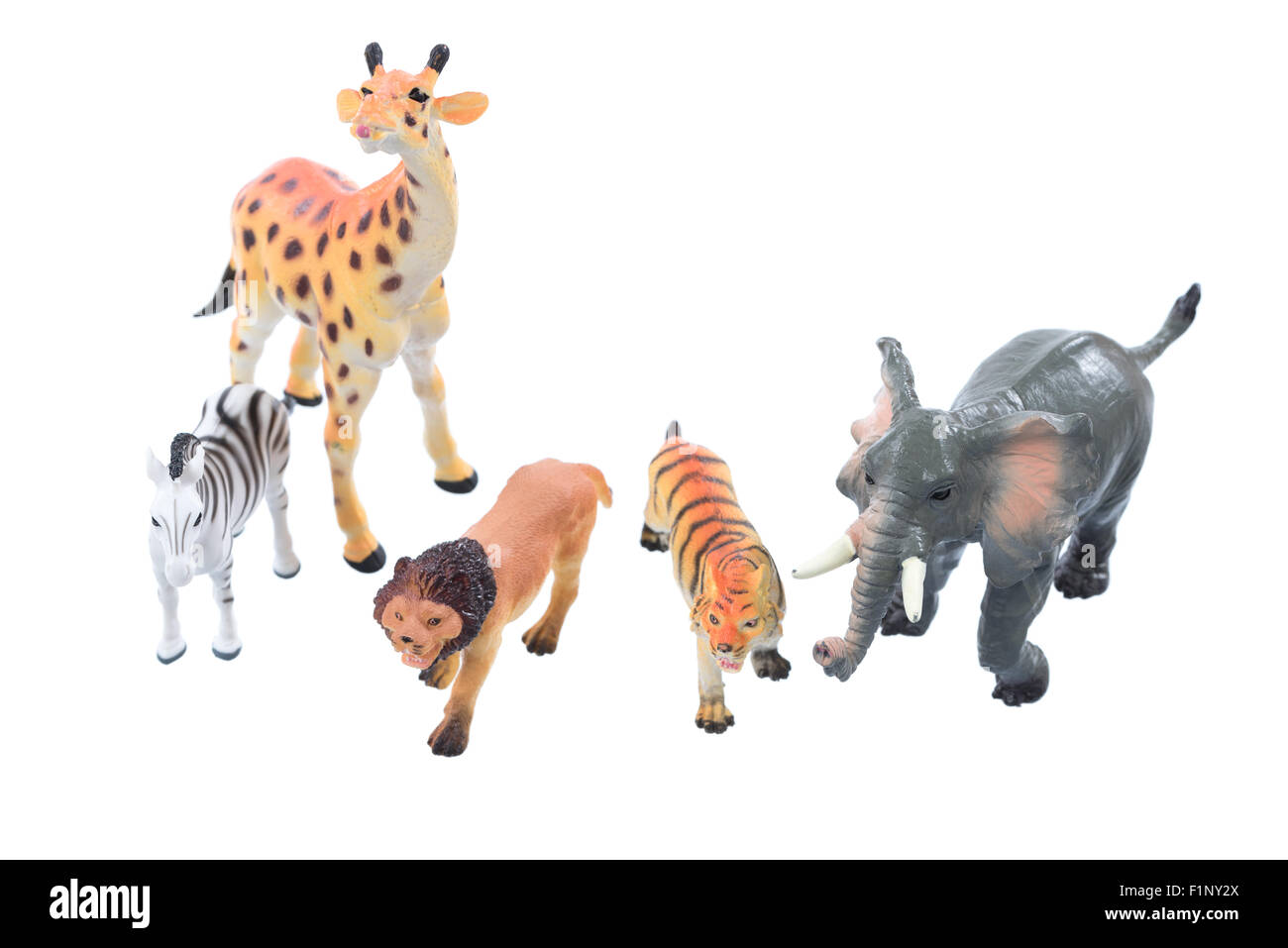 Small toy animals ioslated on a white background Stock Photo Alamy