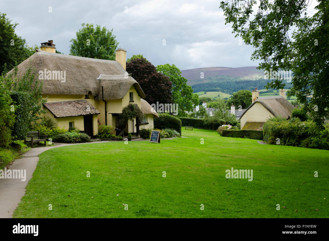 Selworthy village Holnicote Estate Exmoor Somerset Stock Photo Alamy