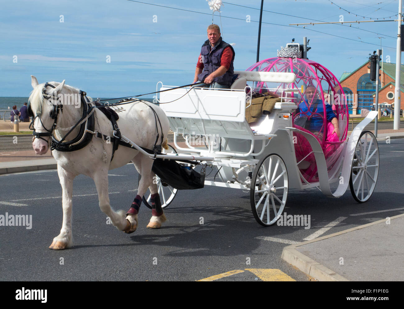 Cinderella horse drawn carriage blackpool hires stock photography and