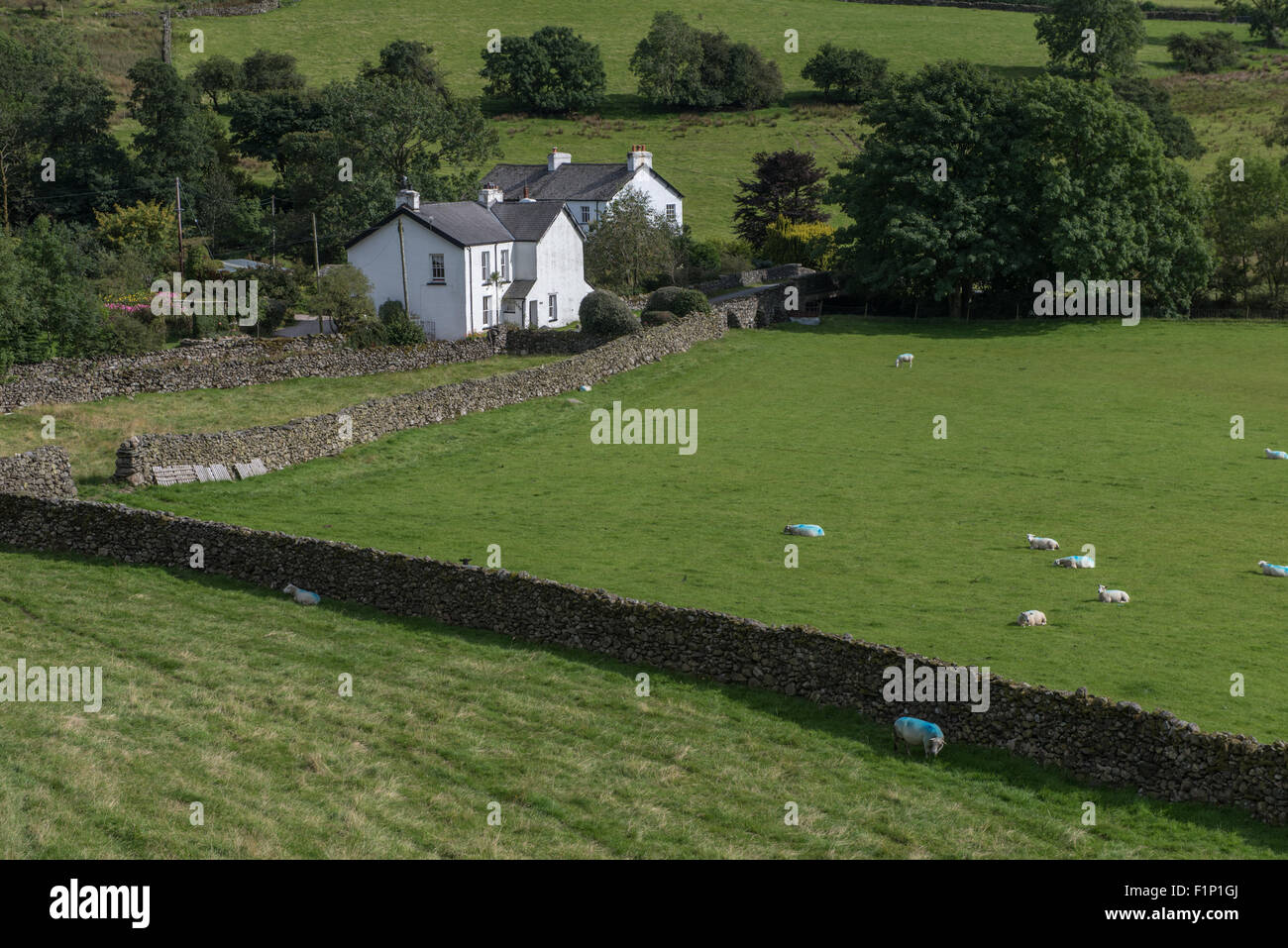 Low Bridge Kentmere Cumbria Stock Photo Alamy