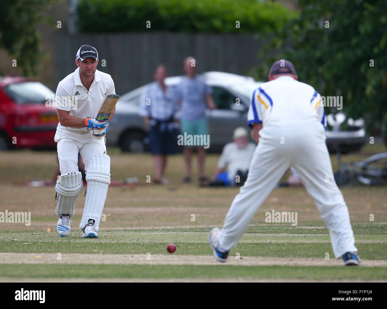 Harry Judd Cricket High Resolution Stock Photography and Images - Alamy