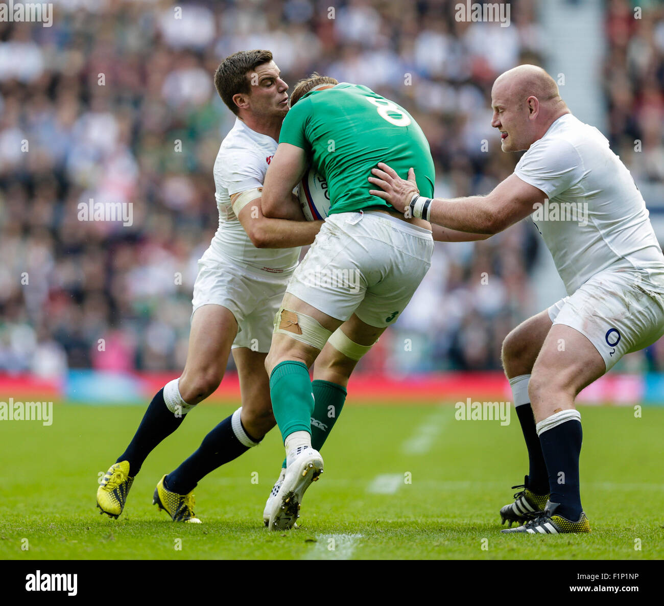 Jamie Hallums Rugby Jamie george rugby world cup hi-res stock photography and images - Alamy