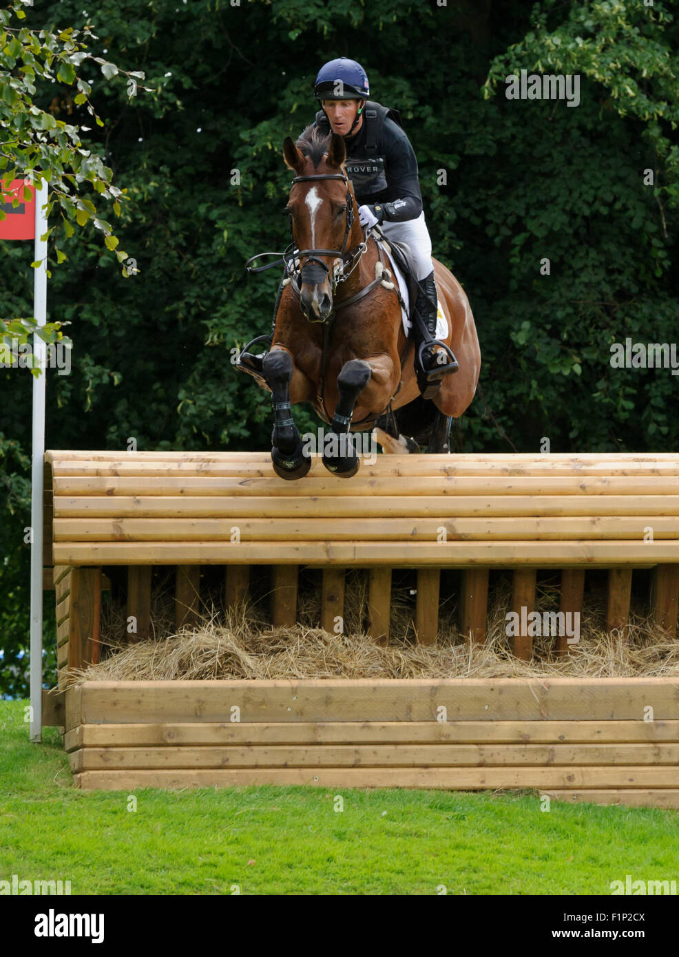 Stamford, Lincs, UK. 5th September, 2015. Oliver Townend and DROMGURRIHY BLUE are the top British combination - Cross Country Phase - Land Rover Burghley Horse Trials, 5th September 2015. Credit:  Nico Morgan/Alamy Live News Stock Photo