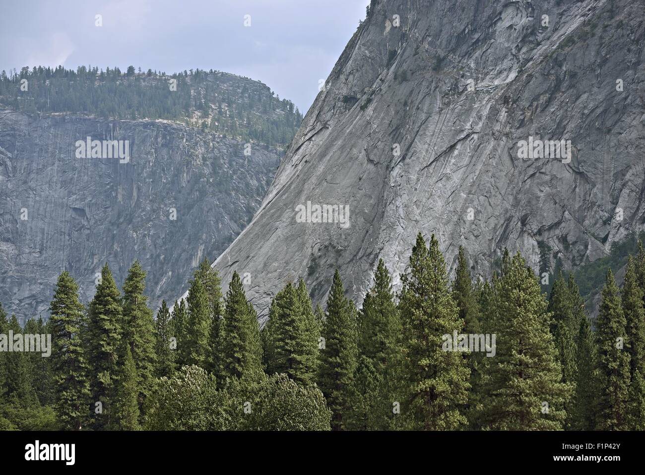 Yosemite Valley Scenery. North American Yosemite National Park in California. American National Parks Photo Collection. Stock Photo