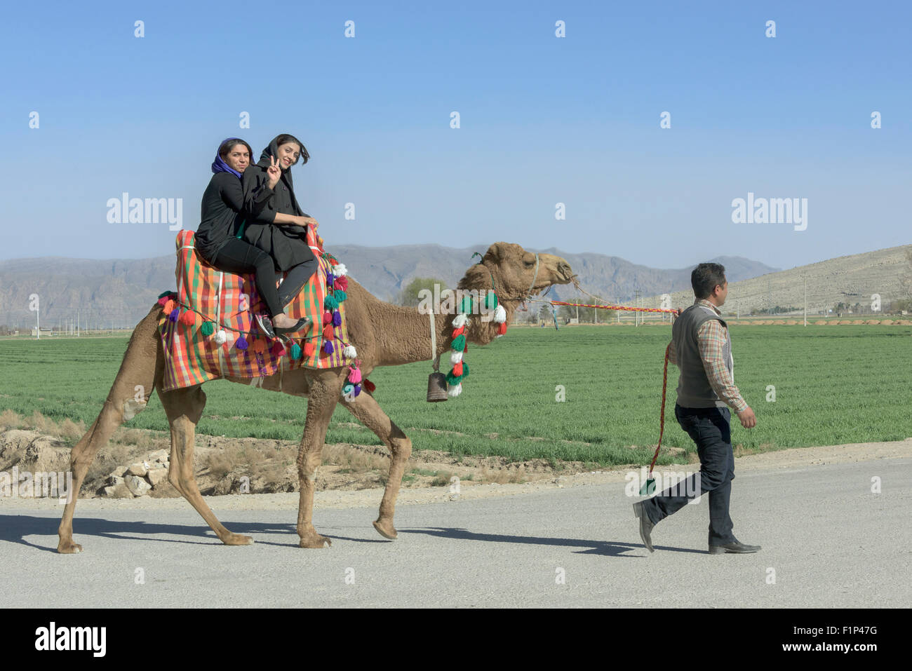 One hump, two riders, Persian women on a dromedary, Naqsh-e Rostam, Marvdasht, Iran Stock Photo