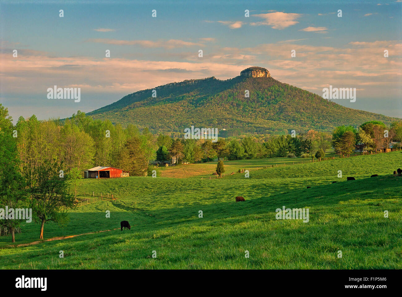 View Pilot Mountain, Pilot Mountain, North Carolina, USA Stock Photo