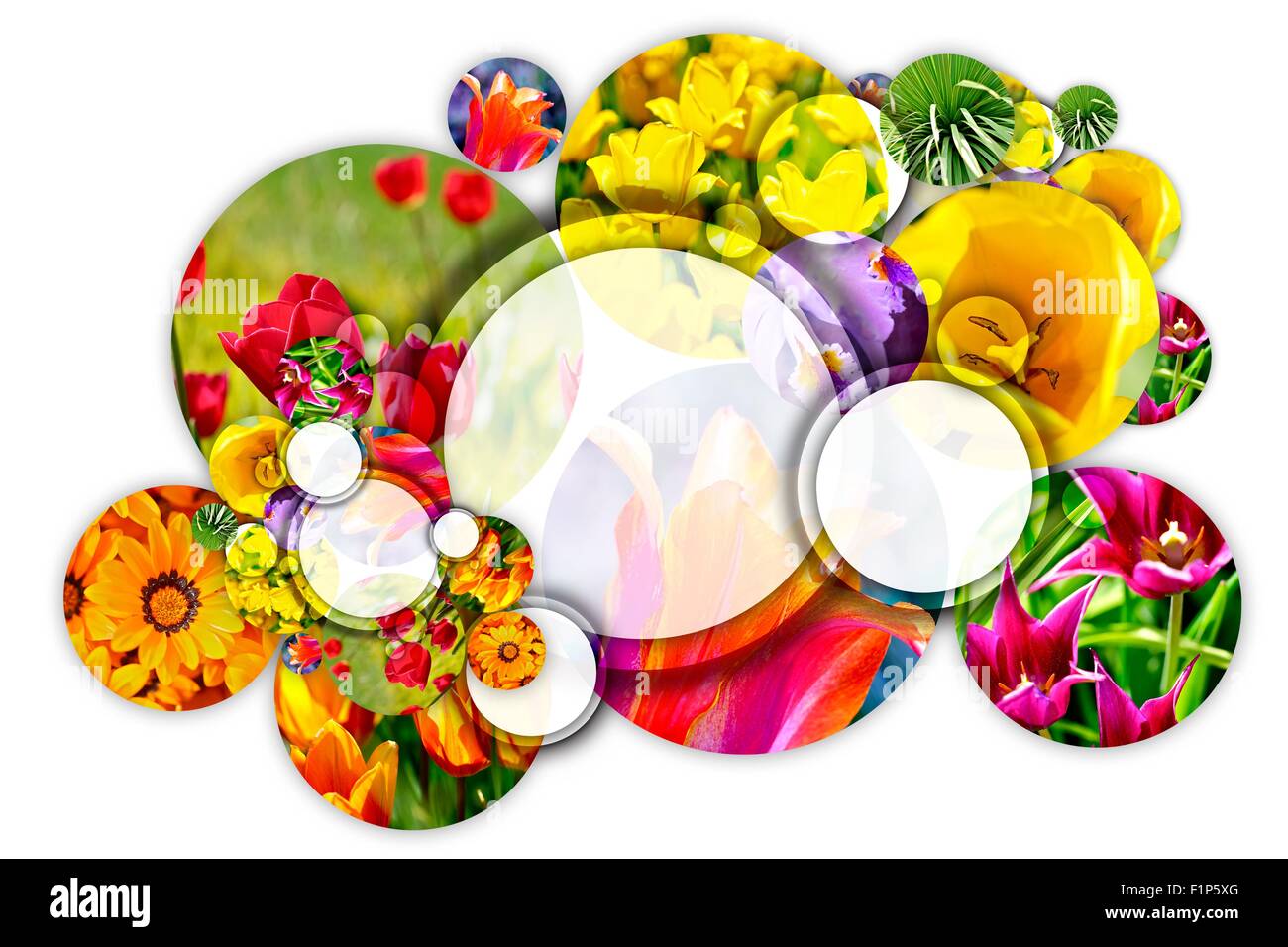 Floral Concept. Gardening Circle. Cool Composition of Flowers Circles on Solid White Background. Perfect for Landscaping Compani Stock Photo