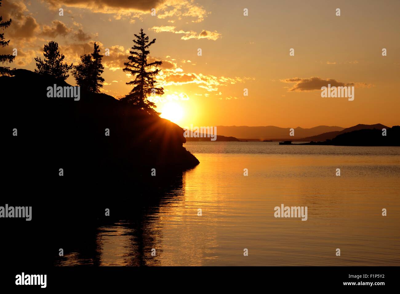span style="font-family: Arial, Helvetica, sans-serif; font-size: 11px ...