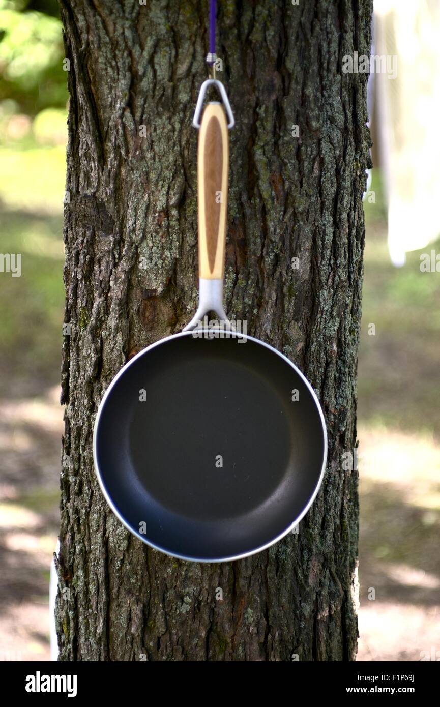 Frying Pan / Skillet on the Tree - Outdoor Camping Theme. Vertical Photo Stock Photo