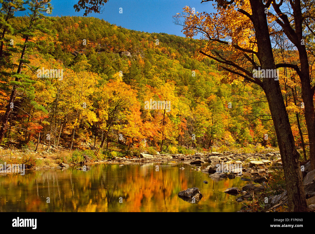 Maury River, Goshen Pass, Goshen, Virginia, USA Stock Photo Alamy