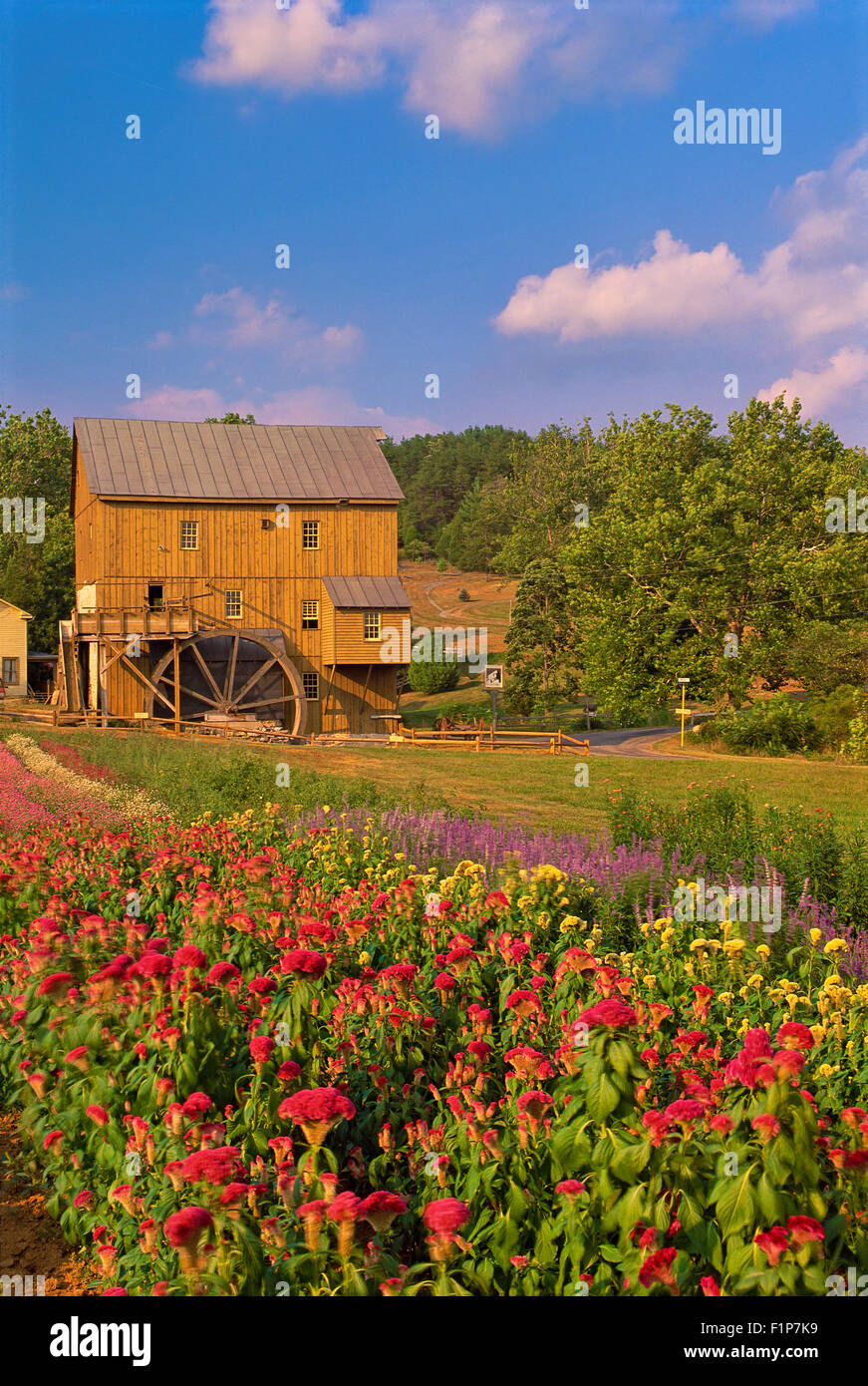 Buffalo Herb Farm and Wade's Mill, Raphine, Virginia, USA Stock Photo