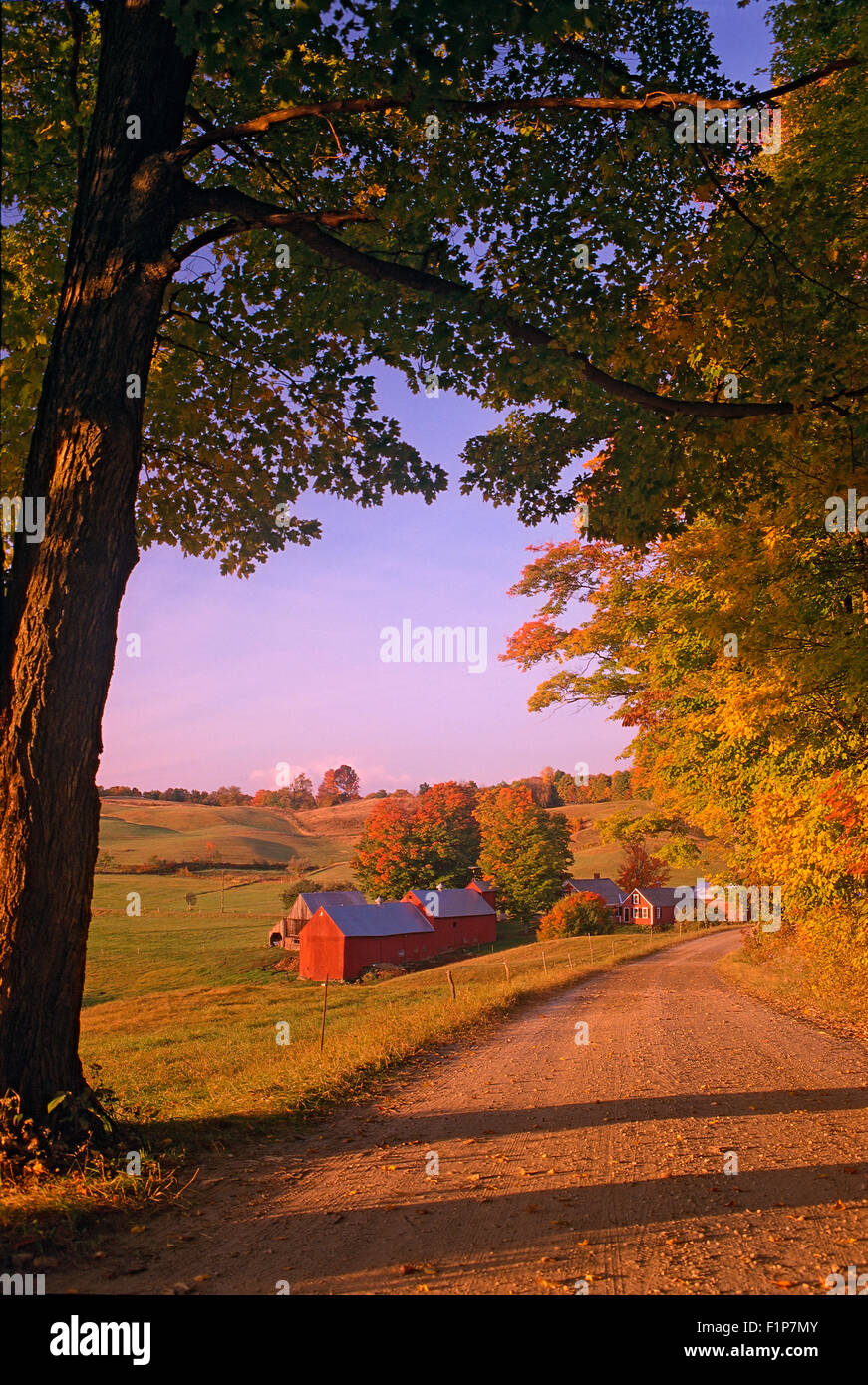Jenny Farm At Sunrise, South Woodstock, Vermont, USA Stock Photo