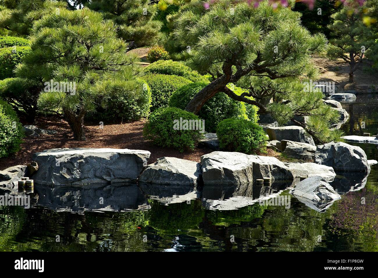 Japanese Garden with Pond - Summer in the Japanese Garden. Nature Photo Collection. Stock Photo