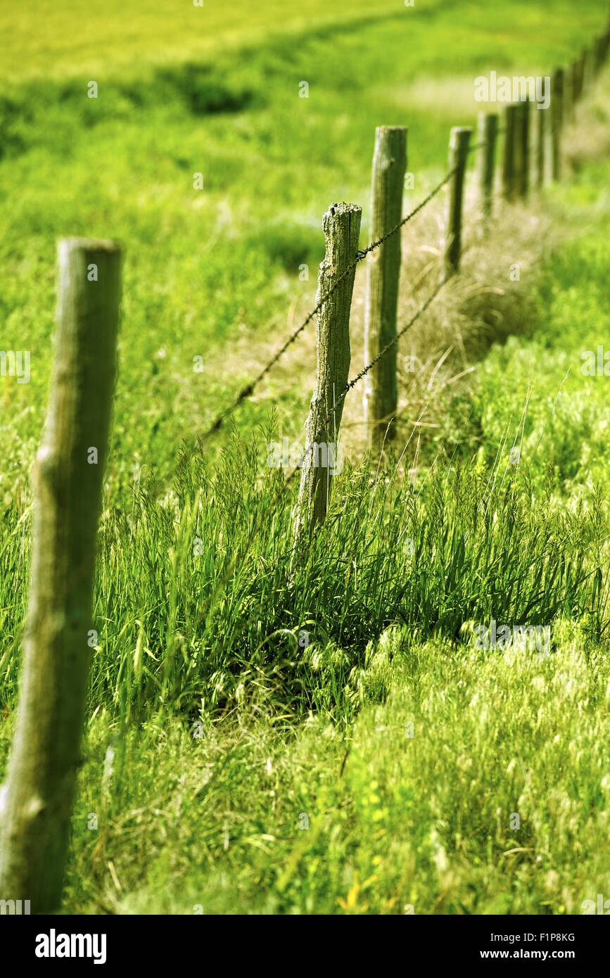 Country Fence - Farmland Country Wood Fence in Vertical Telephoto Photography. Stock Photo