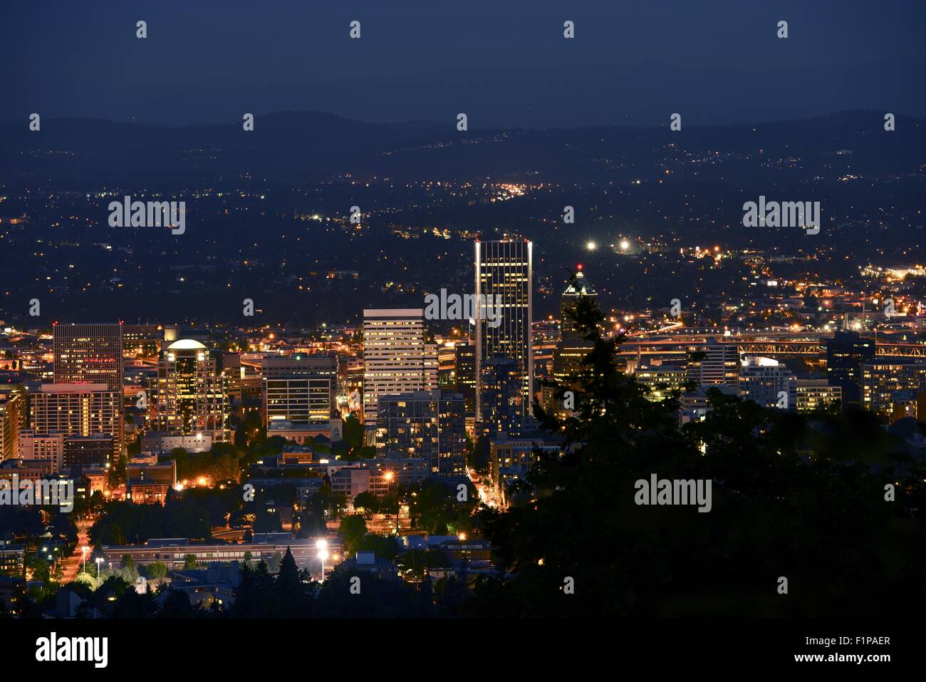 Portland Oregon Souvenir Shot Glass - Great American Cities Collection 2.25 Inch