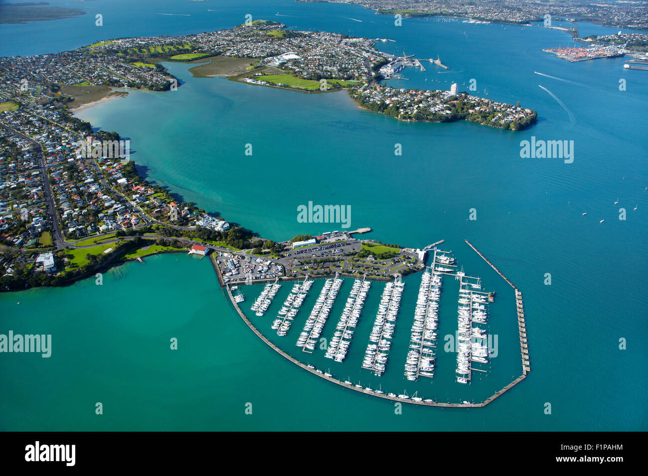 Bayswater Marina, Waitemata Harbour, Auckland, North Island, New