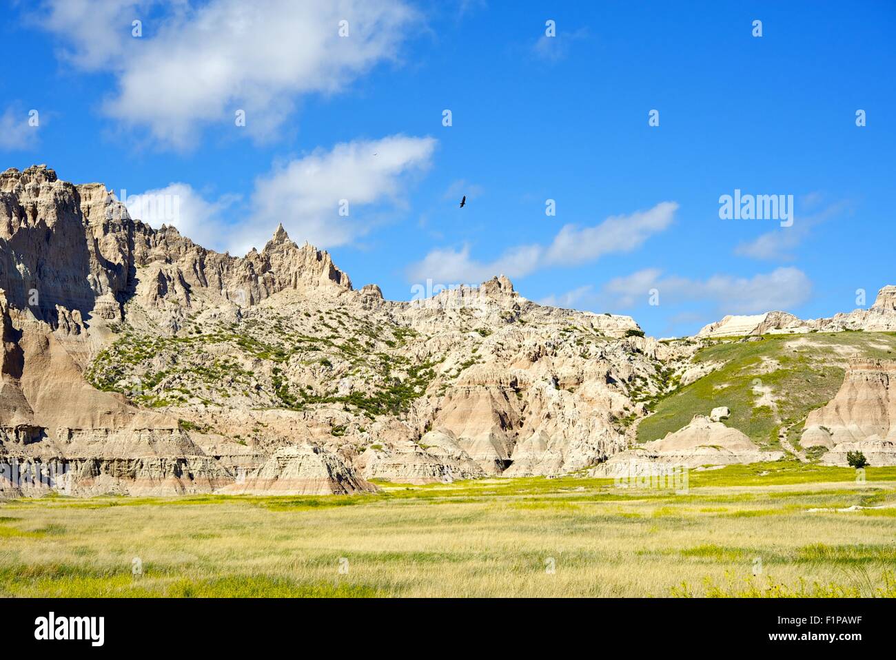 Hawks Above the Badlands. Badlands National Park, South Dakota, U.S.A. American National Parks Photo Collection. Stock Photo