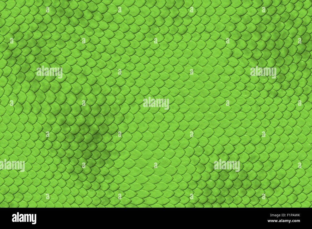 Lizard Skin Pattern Green Lizard Skin Background Illustration Stock