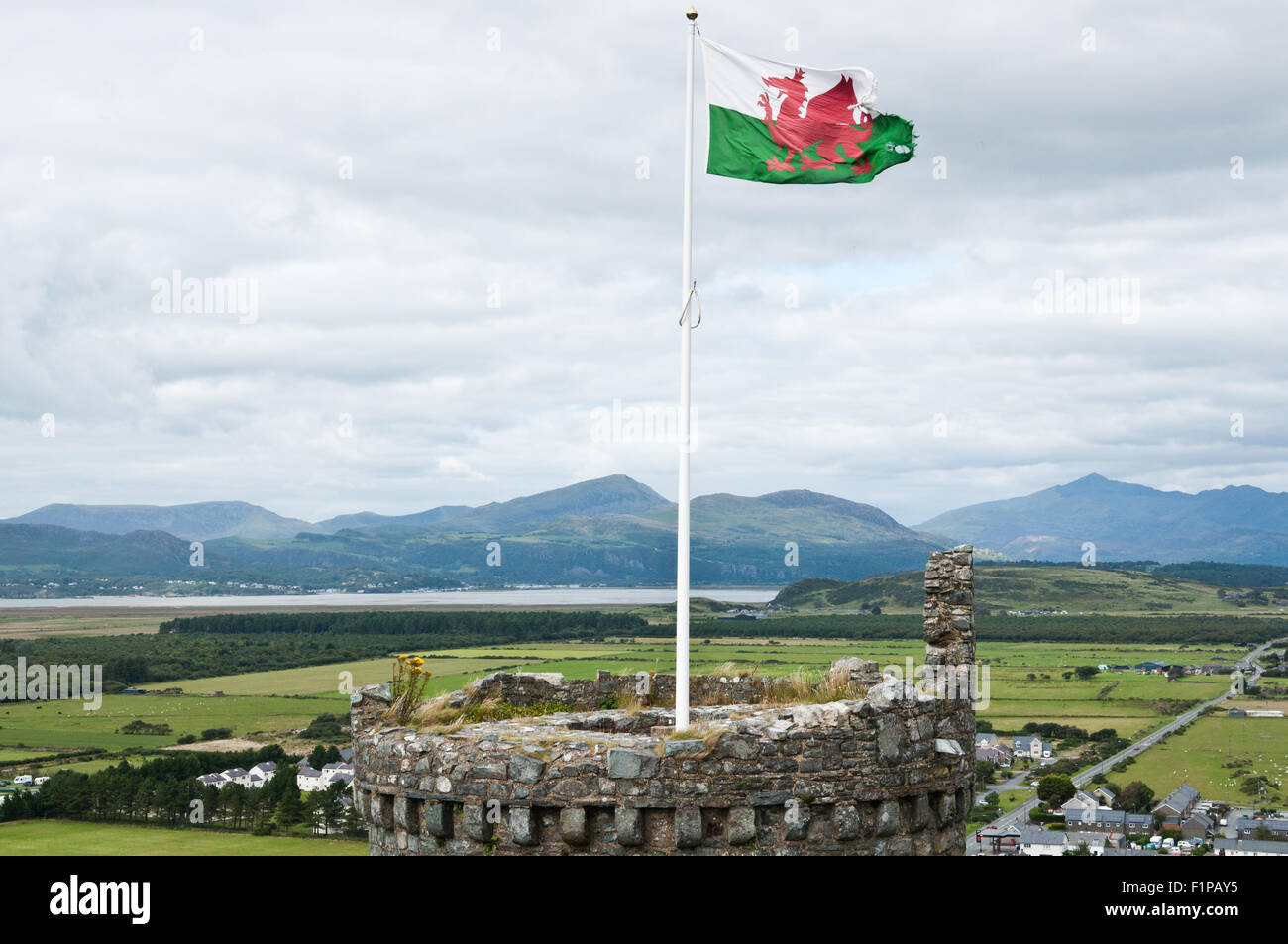 The Welsh flag flies from a tower at Harlech castle Stock Photo