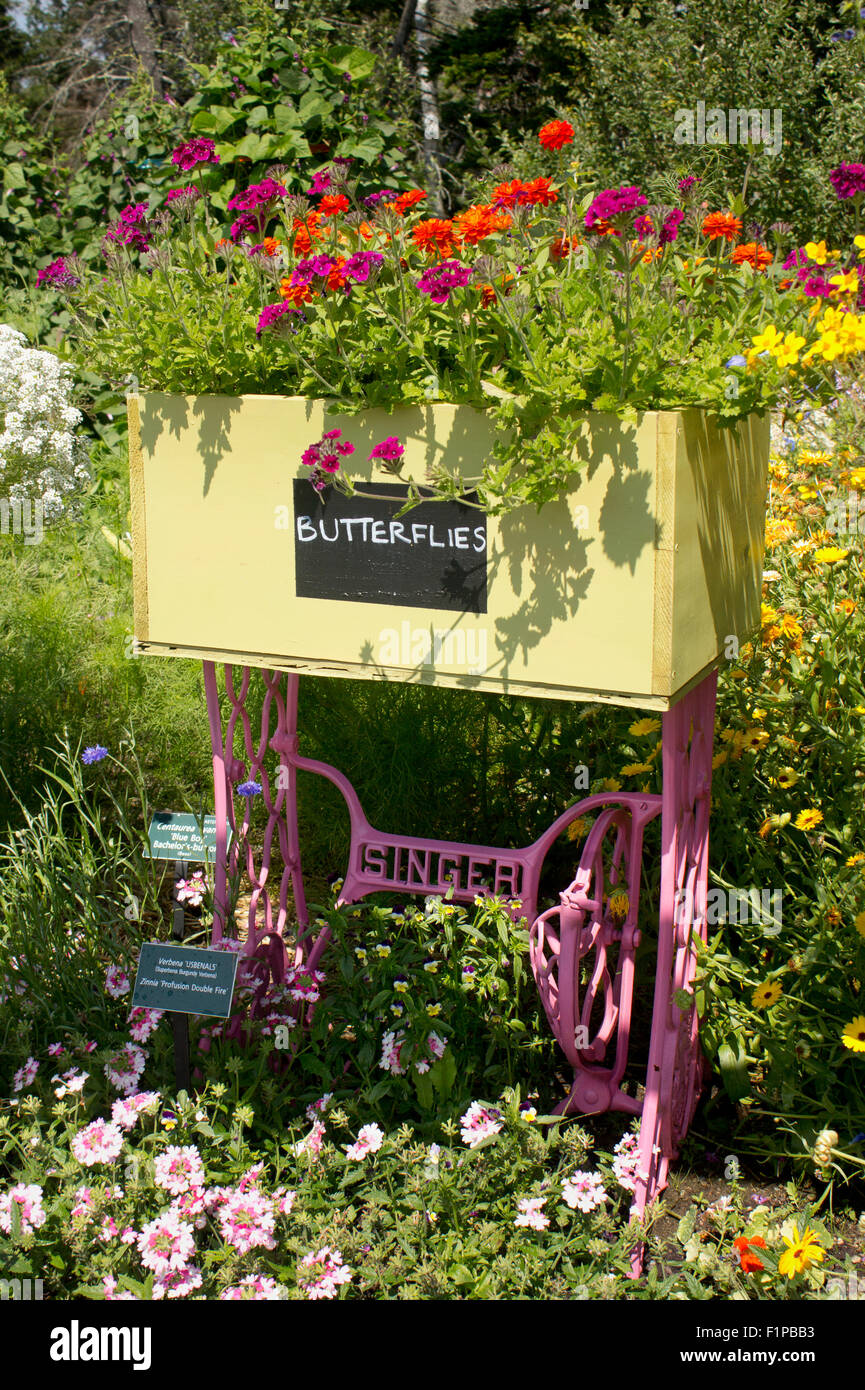 Butterfly flower box in the Maine Botanical Garden. Stock Photo