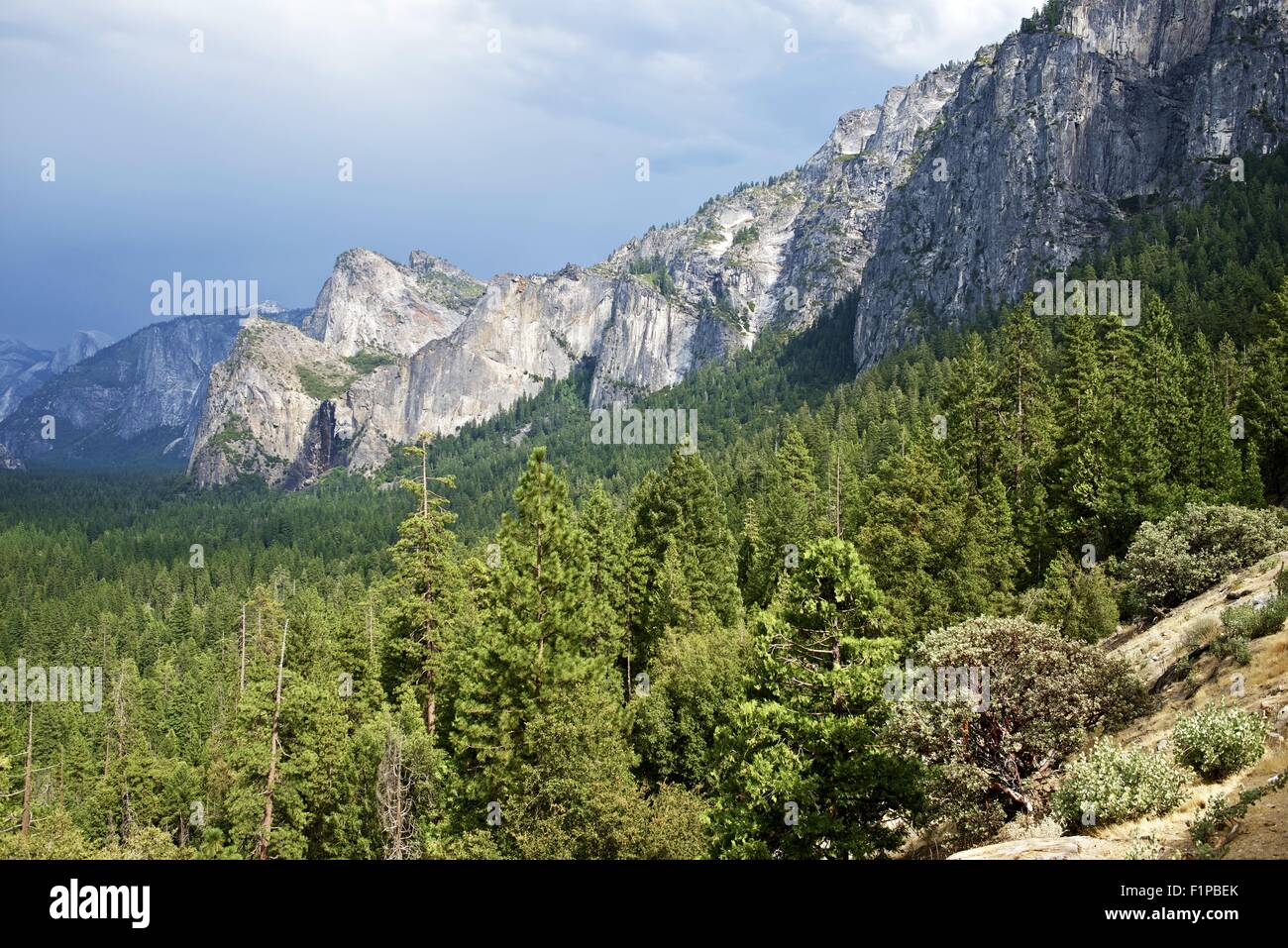 Yosemite National Park. Yosemite Valley in Summer. Nature Photo Collection. California, USA. Stock Photo