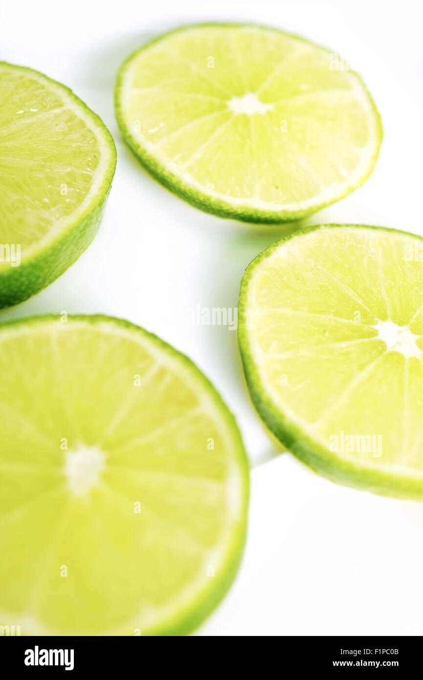 Lemon Lime Green Vertical Studio Photography. Fresh Fruits Photo Collection. Stock Photo