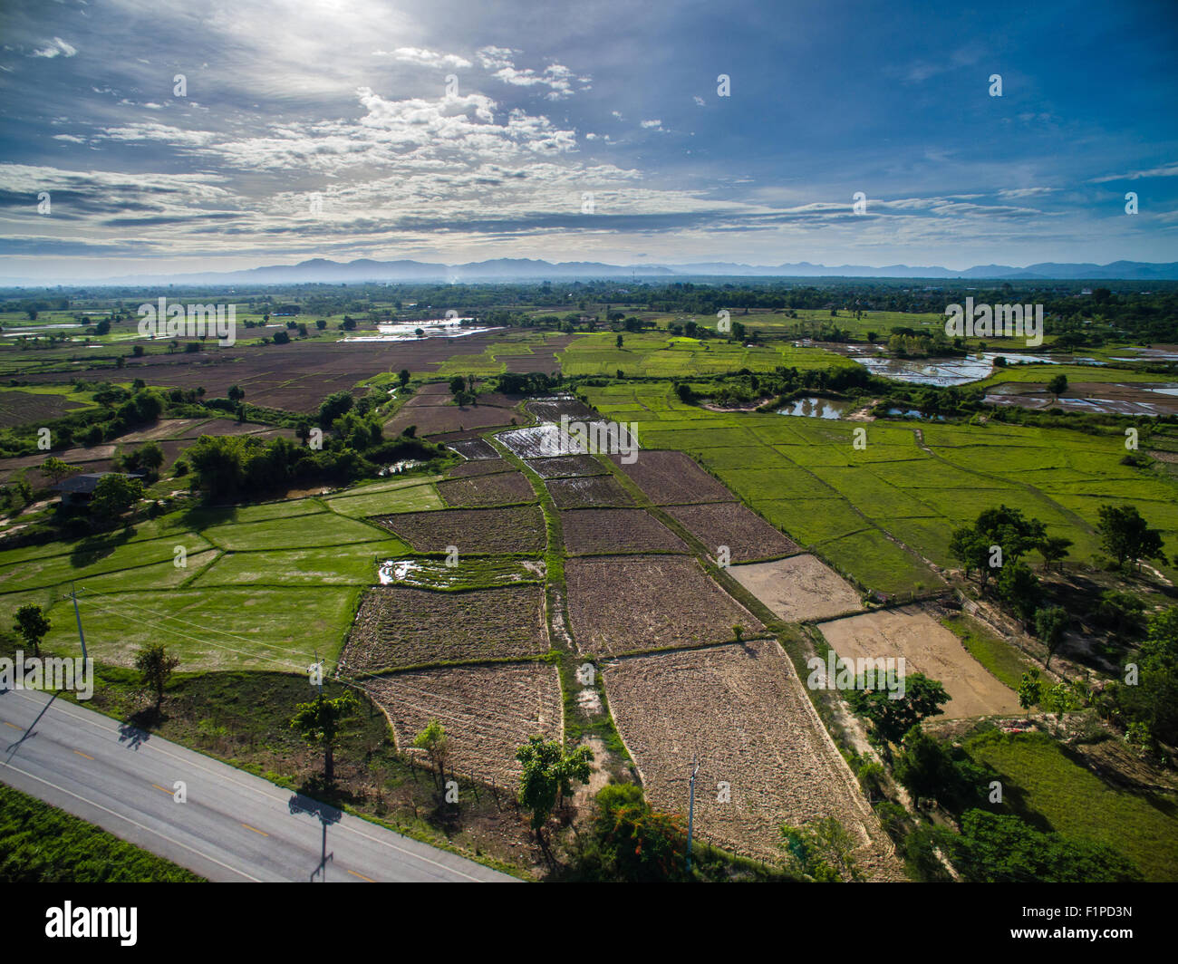Rice field top view from drone Lampang, northern Thailand. Stock Photo