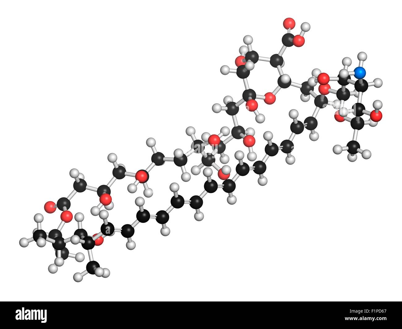 Amphotericin B antifungal drug molecule Atoms are represented as spheres with conventional colour coding: hydrogen (white) Stock Photo