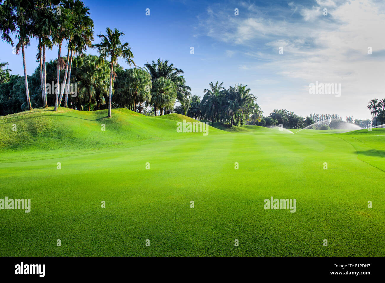 Beautiful green golf course fairway in a sunny day, Thailand Stock