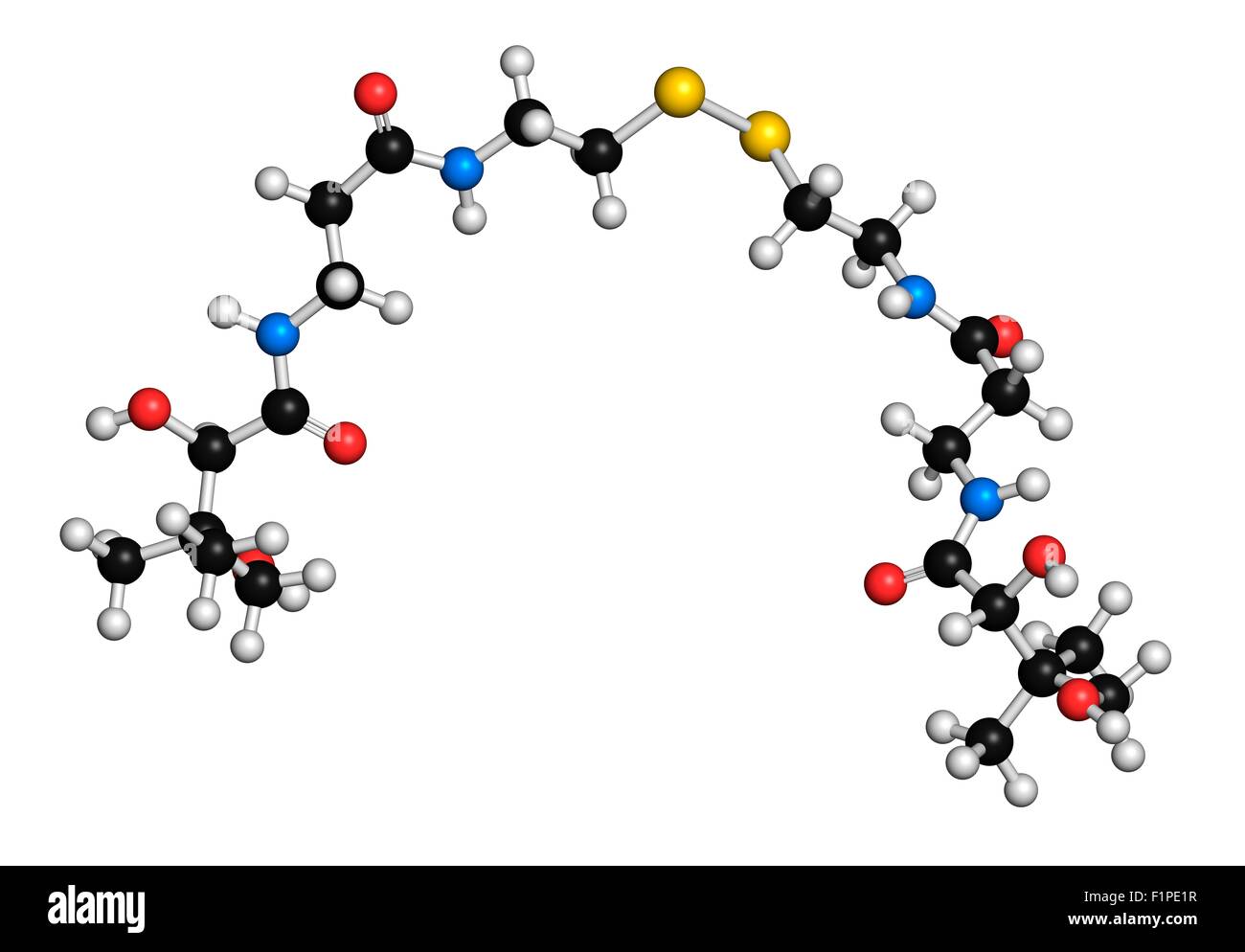 Pantethine (dimeric vitamin B5) molecule Used in dietary supplements