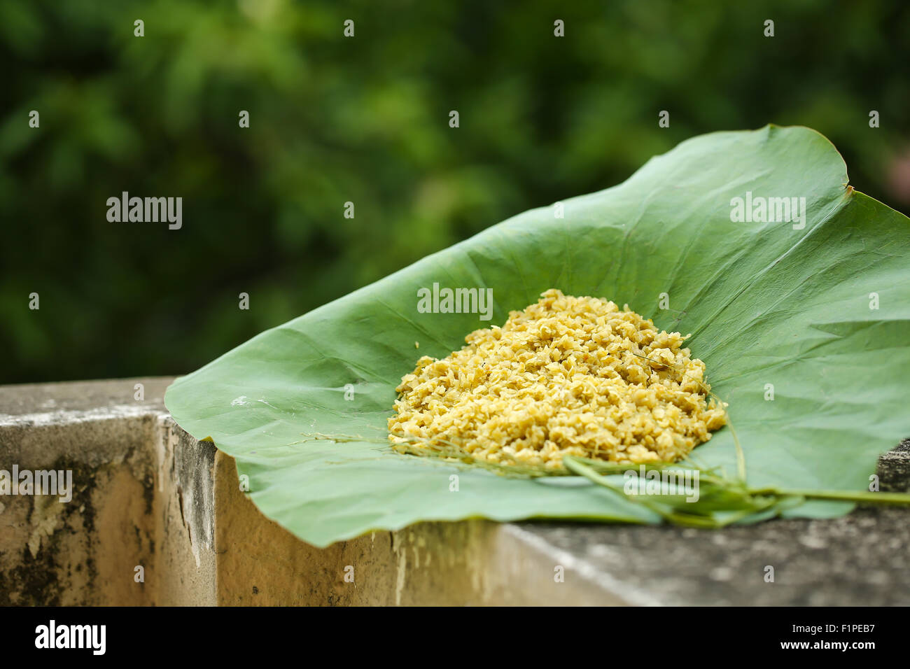 Yong Rice A portion of green rice or young rice, a traditional cuisine of Vietnam ...