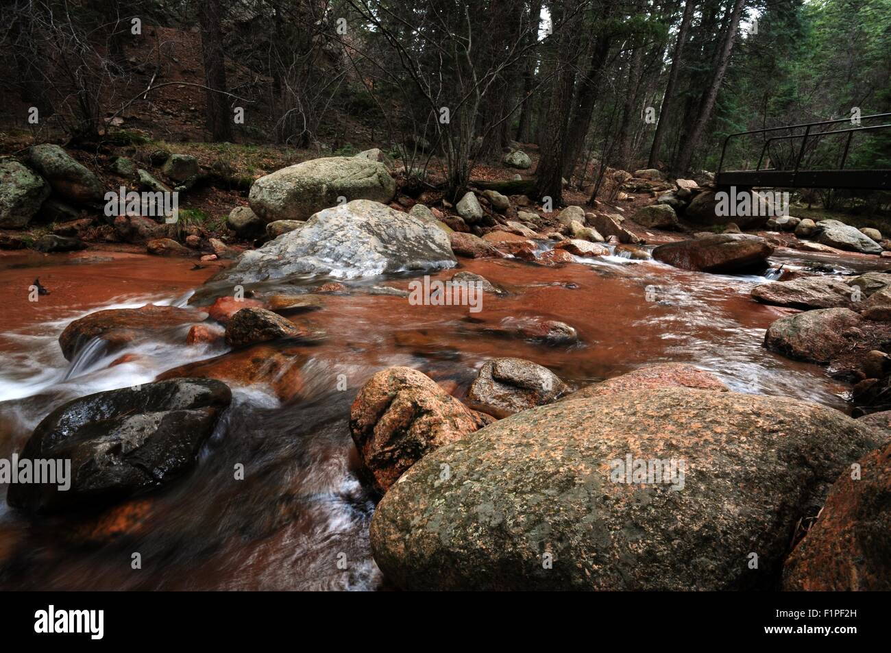 Colorado state forest hi-res stock photography and images - Alamy