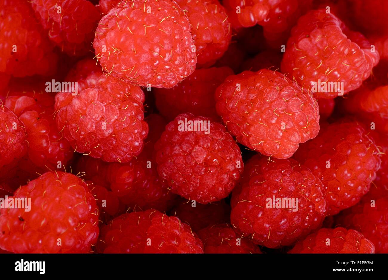 Raspberries Background - Fresh Raw Raspberries Horizontal Closeup Photo Stock Photo