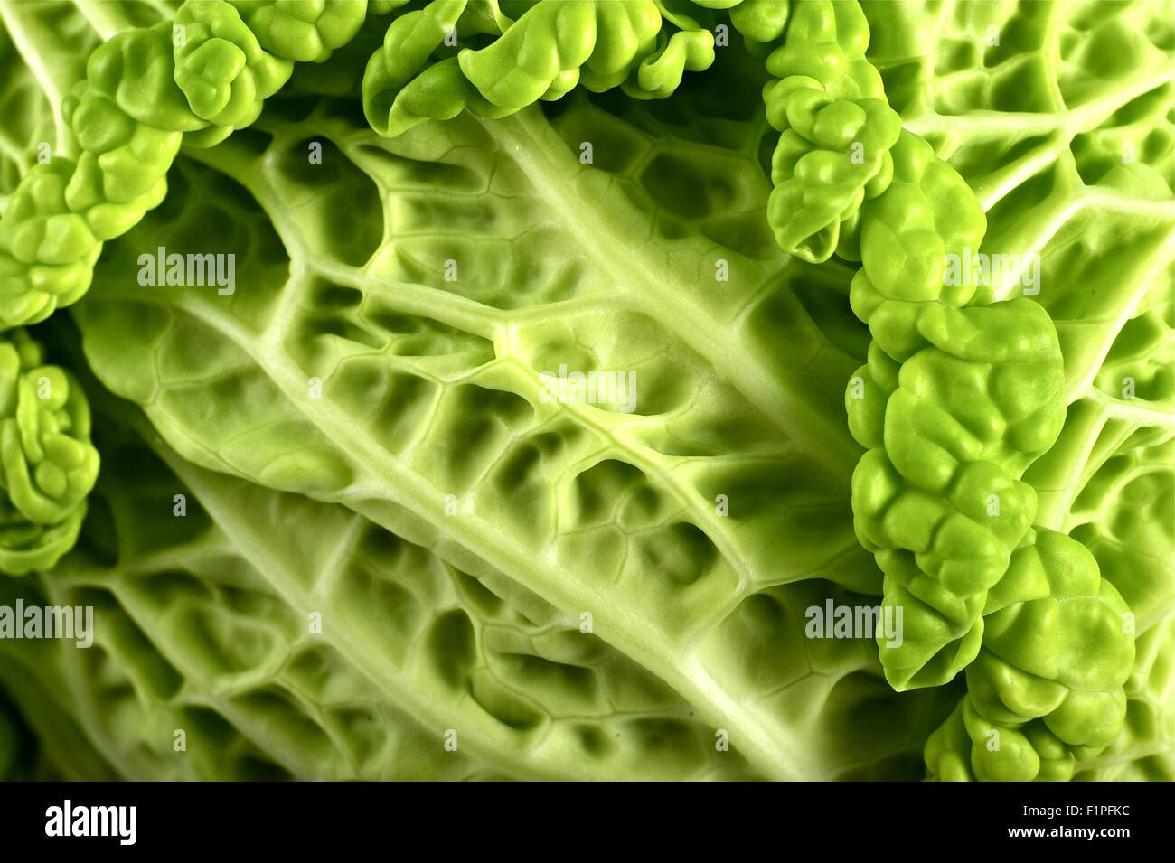 Fresh Raw Cabbage Closeup Photography ( Macro Photo ) Green Cabbage. Stock Photo