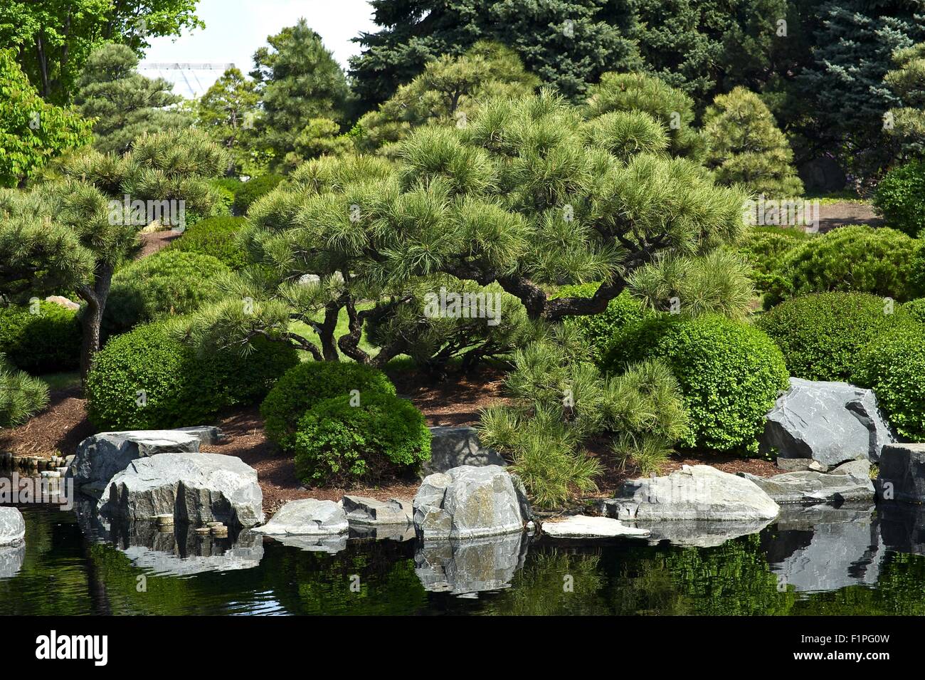 Botanic Garden - Japanese Garden with Small Pond. Stock Photo