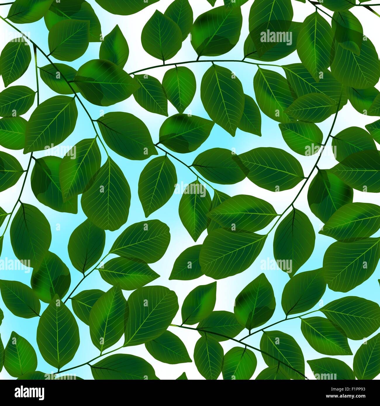 Cloud sky canopy leaves Stock Vector Images - Alamy