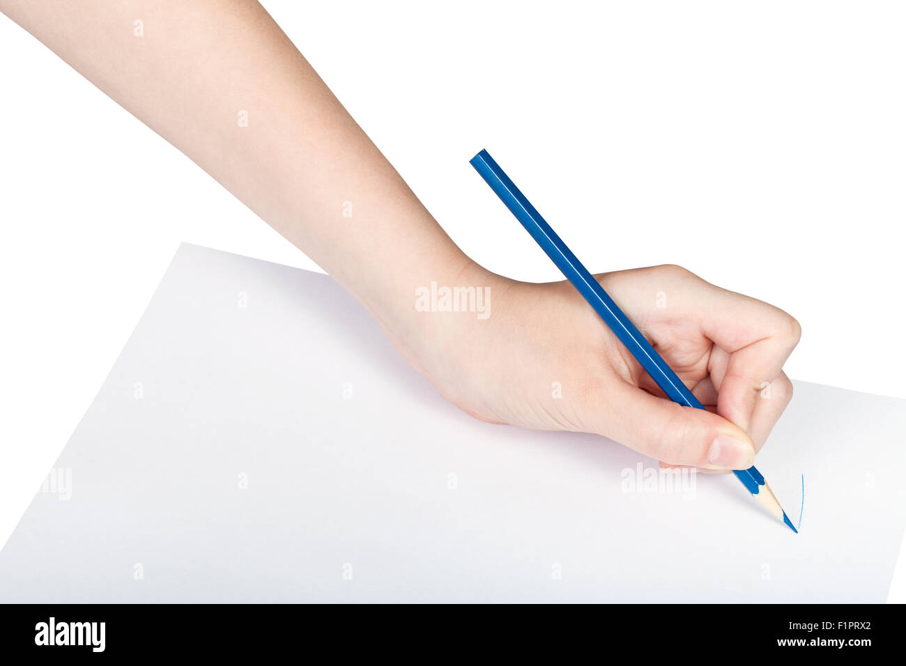 hand paints by blue pencil on sheet of paper isolated on white ...