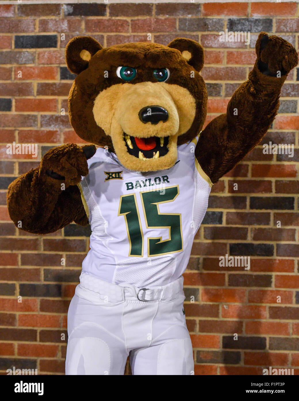September 4th, 2015.Baylor Bears mascot, Bruiser in action during an
