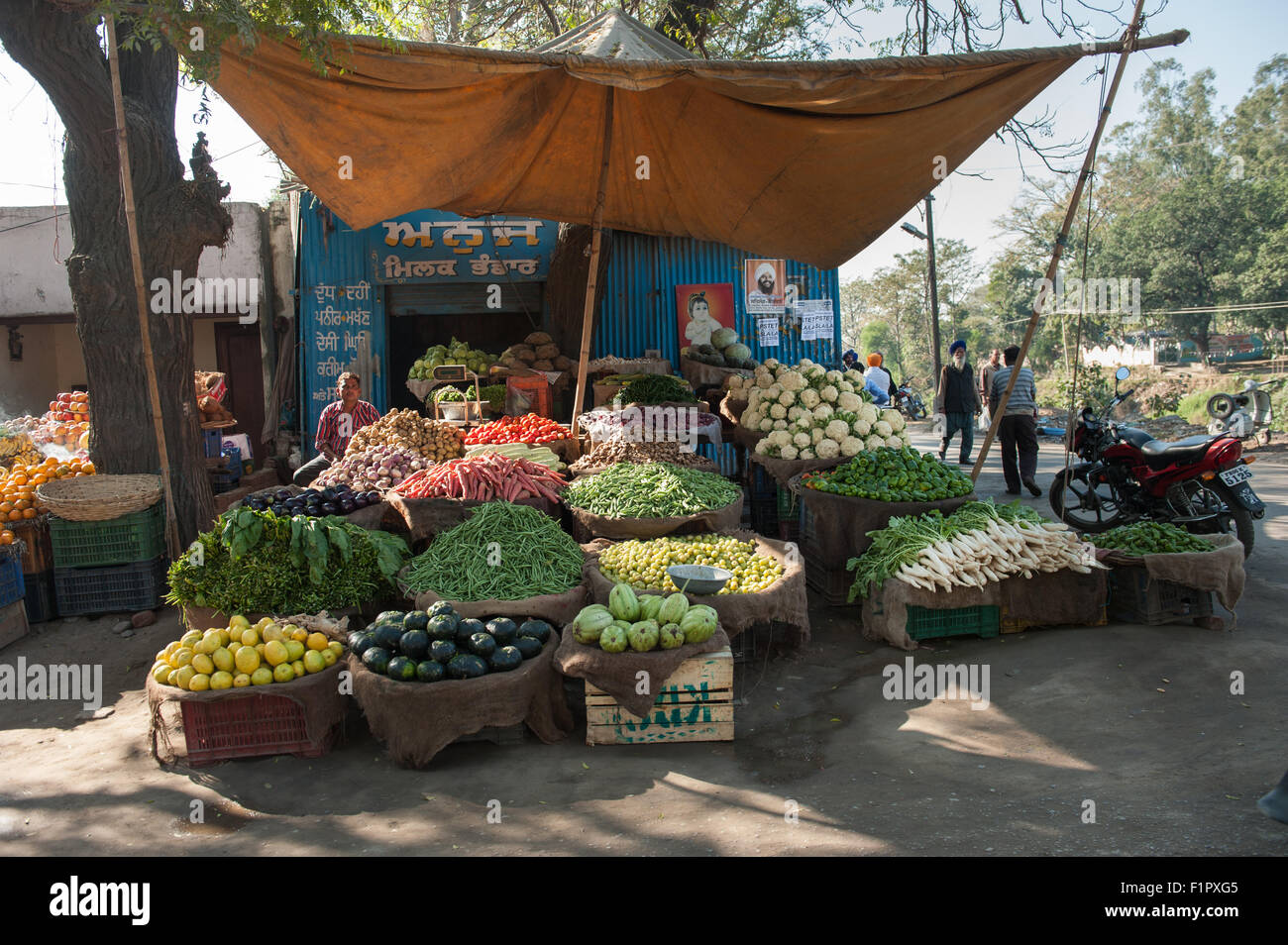 Amritsar, Punjab, India. a roadside market stall selling fruit and vegetables with writing in punjabi script. Stock Photo