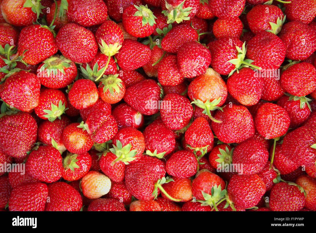Wallpaper strawberries hi-res stock photography and images - Alamy