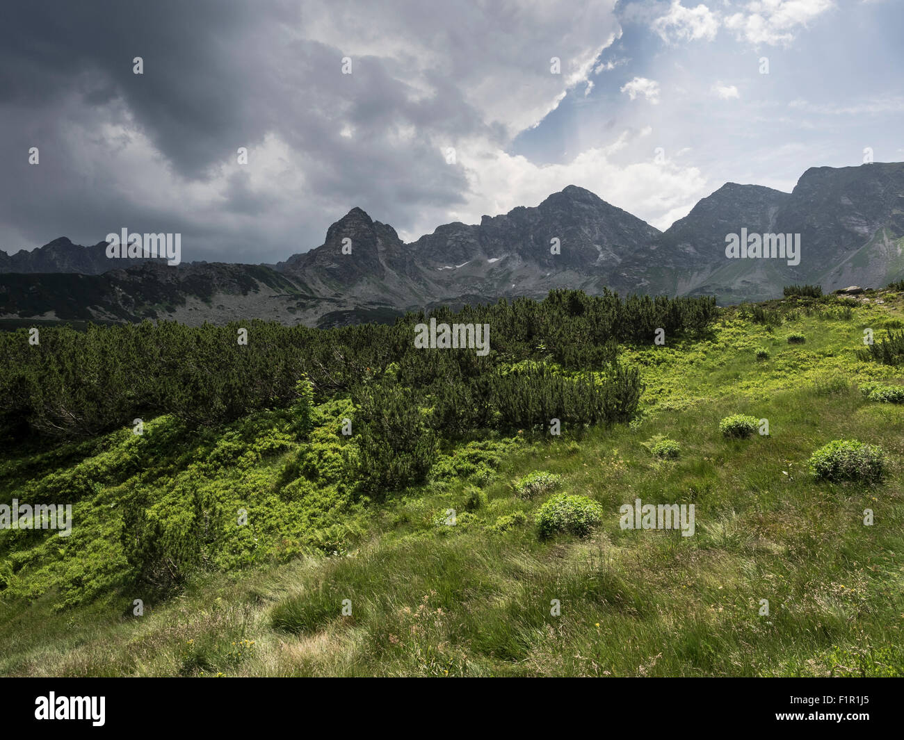 Tatra mountains - Poland Stock Photo - Alamy