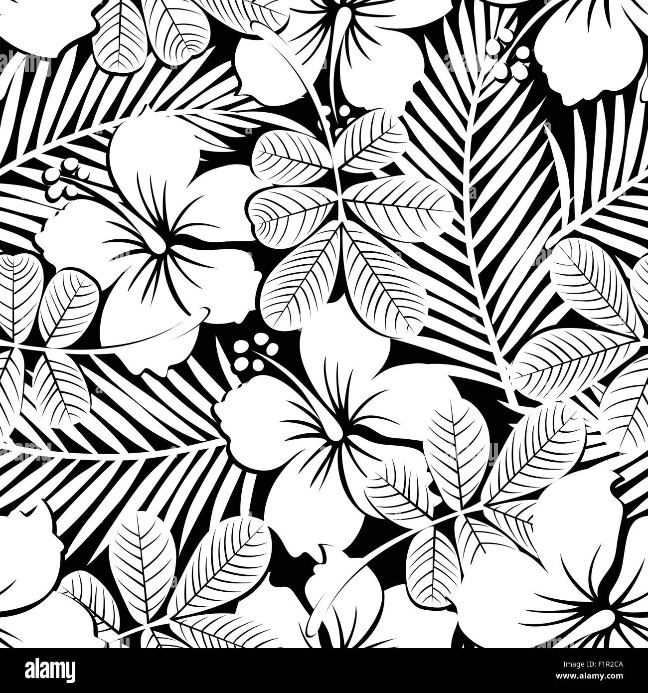 Black And White Tropical Hibiscus Flowers And Plants Seamless Pattern Stock Vector Image Art Alamy