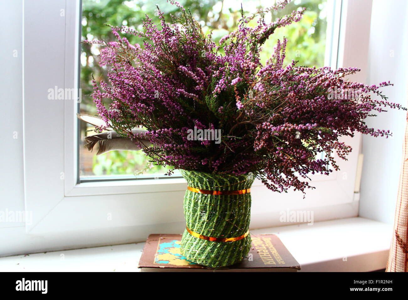 Bouquet of Heather Calluna Vulgaris, Erica, Ling Decorated Satin