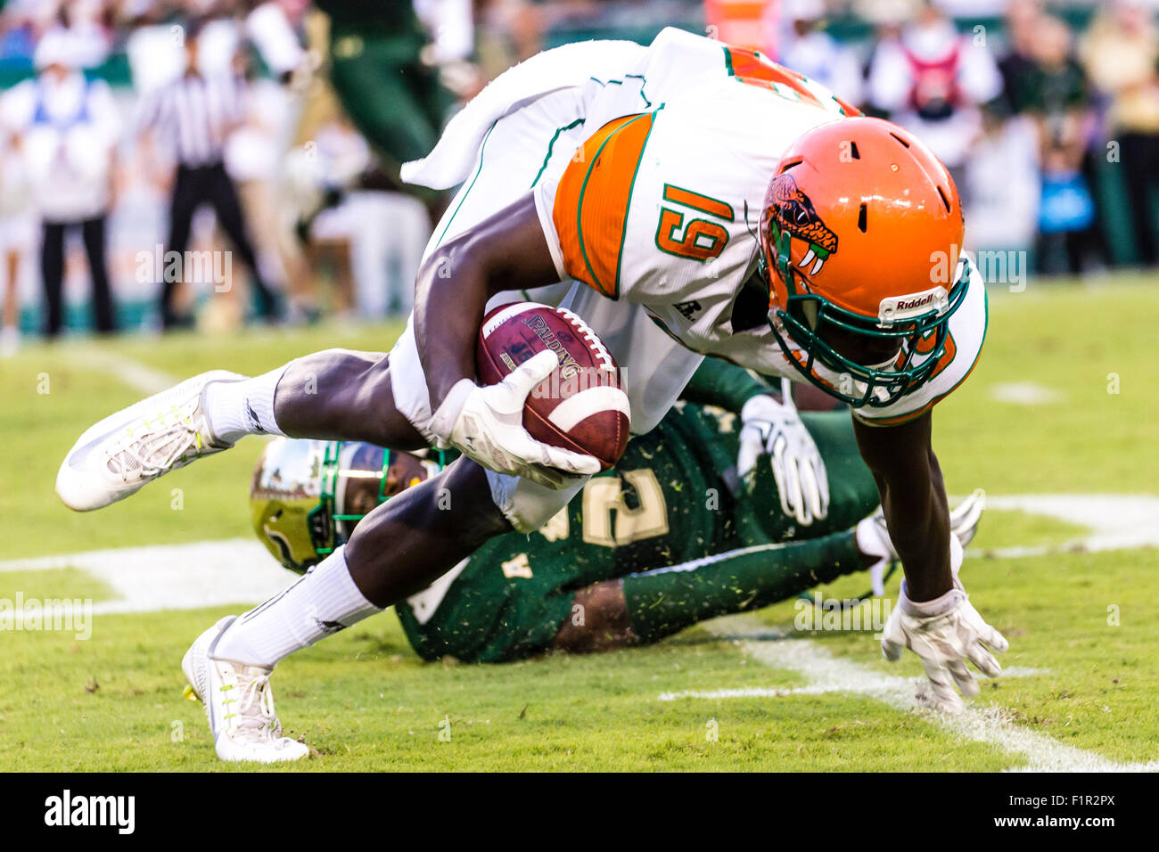 Tampa, Florida, USA. 5th September, 2015. Florida A&M Rattlers wide receiver Kareem Smith #19 tries to stay on his feet during a run in the game between USF & Florida A&M at Raymond James Stadium in Tampa, FL Credit Image: Del Mecum Credit:  Cal Sport Media/Alamy Live News Stock Photo